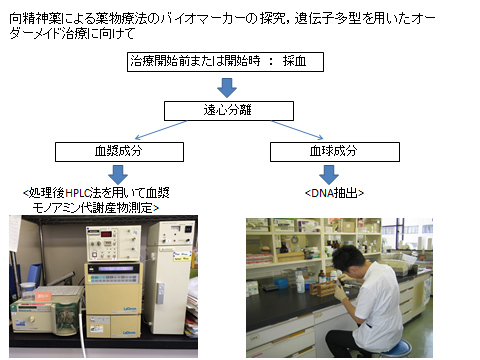 精神薬理学の研究室で、HPLC装置を用いて血液中のモノアミン代謝産物を分析している様子。研究者が試料を扱っている。