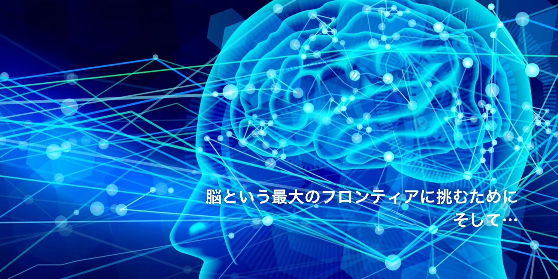 脳の構造を青い光で表現したデジタルアート。神経回路が視覚的に描かれている。