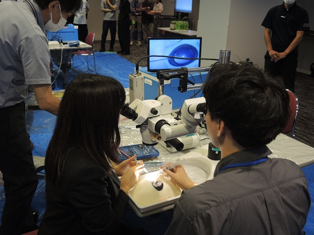 医学教育の一環として顕微鏡を使用しながらスカルのモデルに精密作業を行う学生たち。