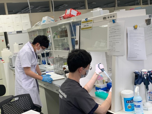 医学生たちが実験室で試験管を用いて実験を行う様子。白衣着用で、共同作業に集中しています。