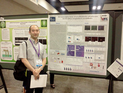 研究発表のポスターの前に立つ男性。ポスターにはループス腎炎に関する実験データが示されている。