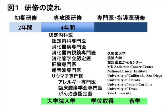 図1は、福島県立医科大学における医師の研修の流れを示した表で、初期研修から専門医・指導医研修までの期間と取得可能な資格を示しています。