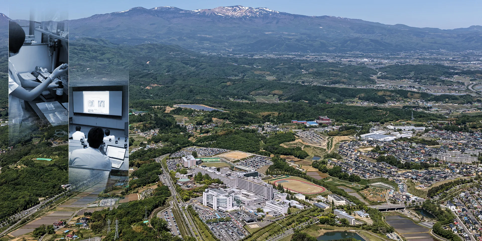 外科学部門