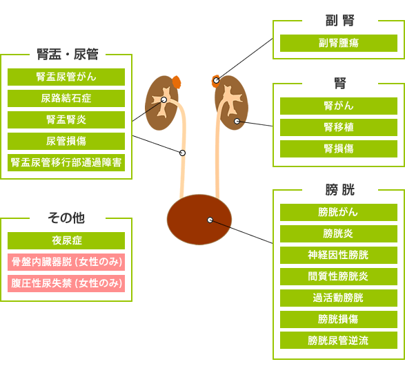 男女の体の部位別に関連する様々な疾患を紹介している。