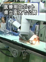 2013年2月5日放映の様子（クリックでPDFが表示されます）