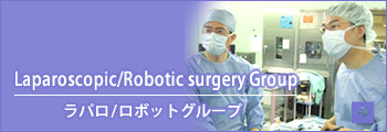 Laparoscopic Surgery Group（ラパロ/ロボットグループ）の研究ページへ