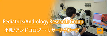 Pediatrics/Andrology Research Group（小児/アンドロロジー・リサーチグループ）の研究ページへ