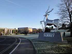 サリー大学のシンボルの鹿を写した風景写真。