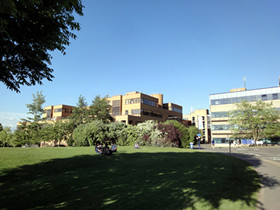 サリー大学の遠景写真。