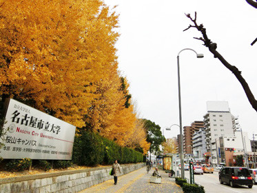名古屋市立大学の桜山キャンパス近くの銀杏が綺麗な風景写真。