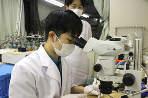 白衣を着た人物が顕微鏡を使っている様子。