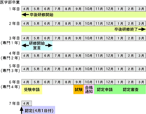 医学部卒業後から専門研修開始、試験申請、認定までのスケジュールを示す年次別のタイムラインを示した図。