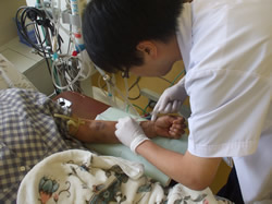 医療従事者が血管穿刺を行う様子。