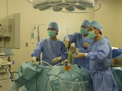 腹腔鏡下の腎摘術を行っている様子。
