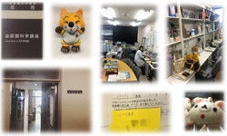 講座の案内板、研究室内で作業する人々、本棚のあるオフィス、動物のぬいぐるみ、及びメモ書きがある画像コラージュ。