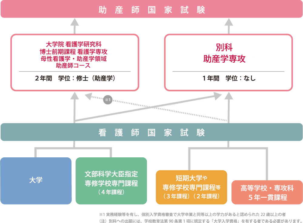 助産師国家試験と看護師国家試験の進学モデルを示すフローチャート。