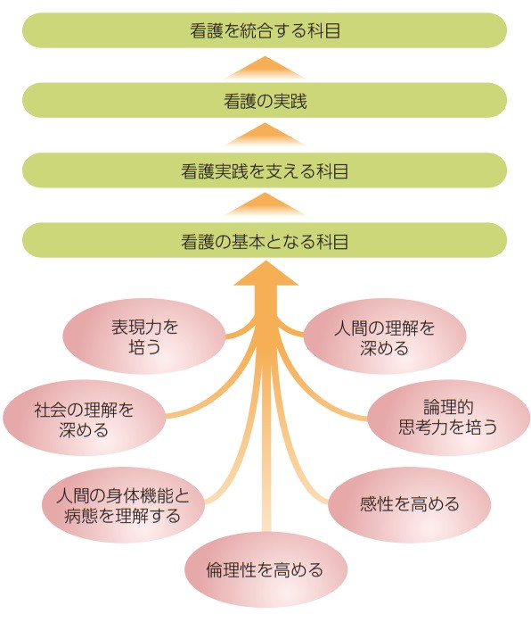 保健師コースのカリキュラムマップを示す図。看護の基本や実践を支える科目が整理されている。