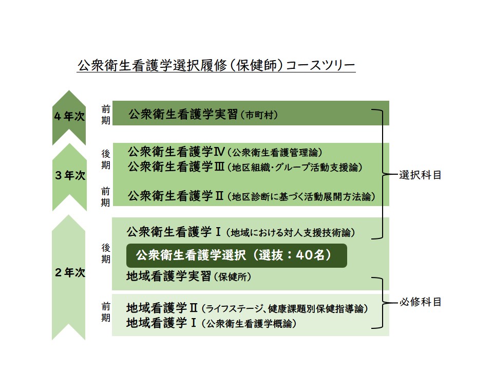 保健師コースのカリキュラムを示すフローチャート。各学年の科目や選択肢が整理されている。