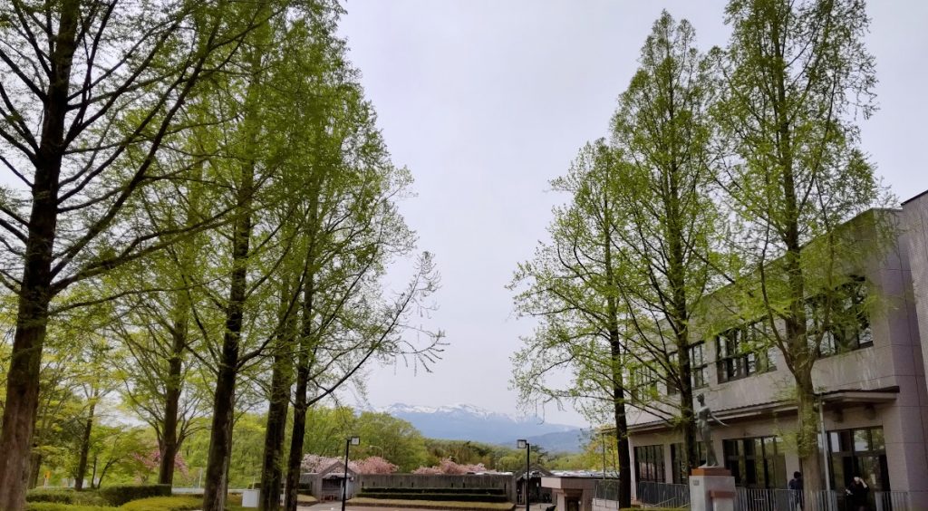 福島県立医科大学のキャンパス風景、緑豊かな木々と遠くに雪山が見える。
