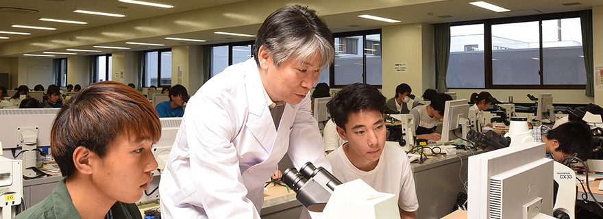 School of Medicine