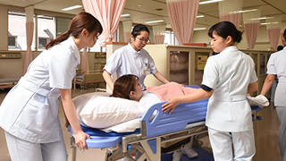 School of Nursing Overview
