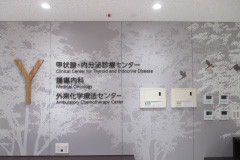 Thyroid and Endocrine Center