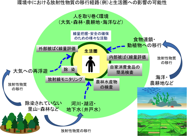 環境中の放射性物質の移行経路と日常生活圏への影響を示す図。放射線モニタリングや森林の影響を考慮。