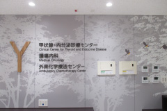 Thyroid and Endocrine Center