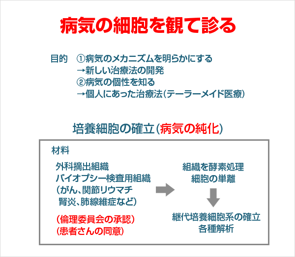 福島県立医科大学 医学部生体情報伝達研究所 生体物質研究部門