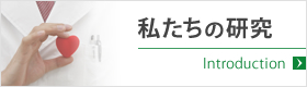 私たちの研究