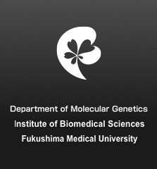 福島県立医科大学附属生体情報伝達研究所｜生体機能研究部門