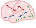 新学術領域研究