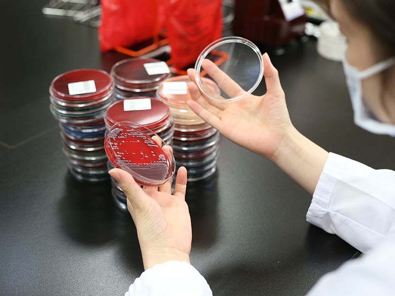 臨床検査部による検査中の様子。