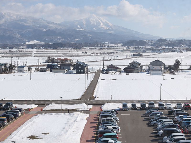 室内からの眺めた外の景色。