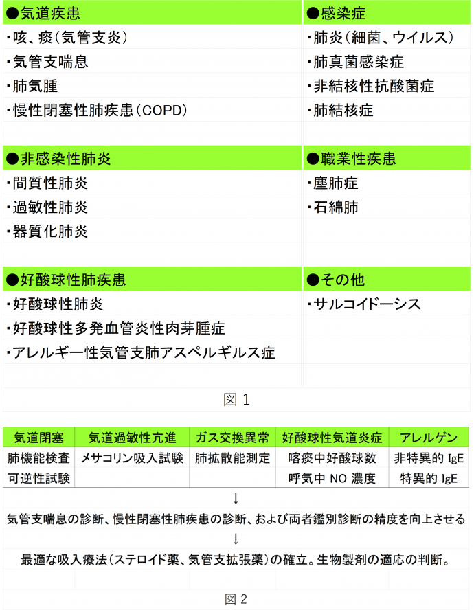 呼吸器関連の疾患と診断方法を示す図。