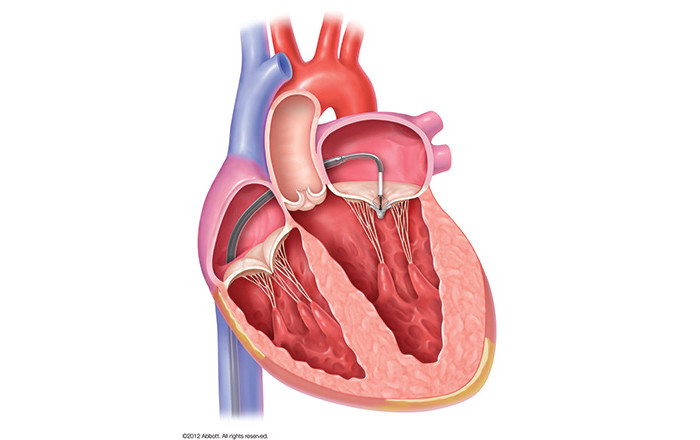 循環器内科のロゴイメージ図。