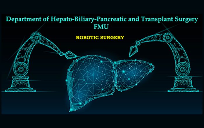 肝胆膵・移植外科のロゴイメージ図。