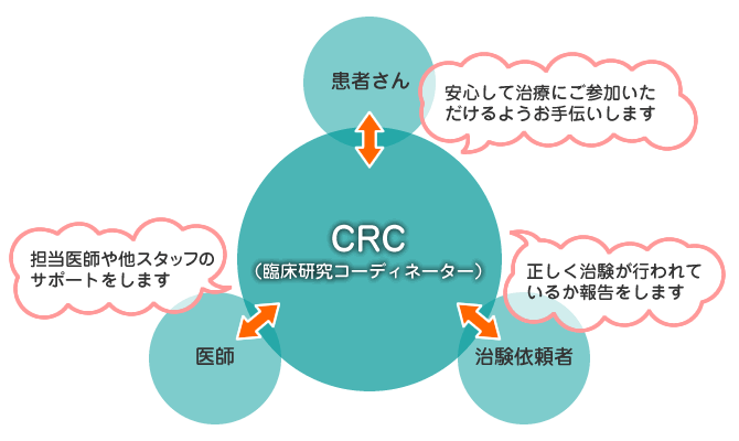 CRC（臨床研究コーディネーター）を中心に、患者さん、医師、治験依頼者が矢印で繋がれているイメージ図。