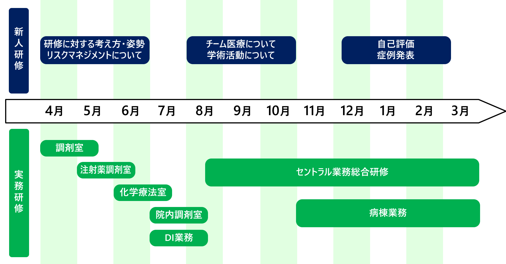 薬剤師新人教育プログラム