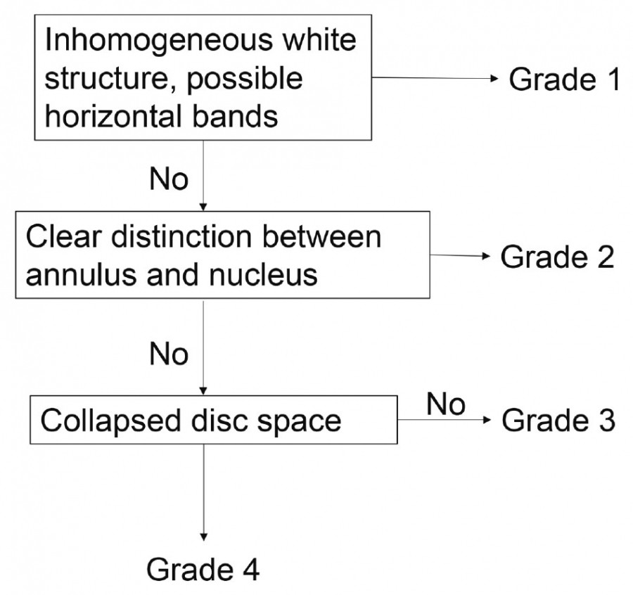 Flowchart illustrating Nakashima’s classification for evaluating cervical disc degeneration, detailing grading criteria from Grade 1 to Grade 4.