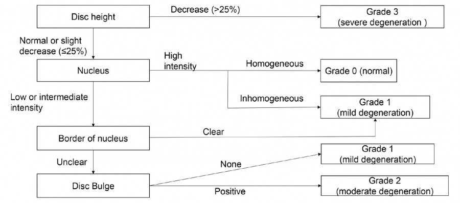 Algorithm for Suzuki’s classification of cervical intervertebral disc degeneration, detailing criteria for grading based on disc height, nucleus intensity, and bulge.