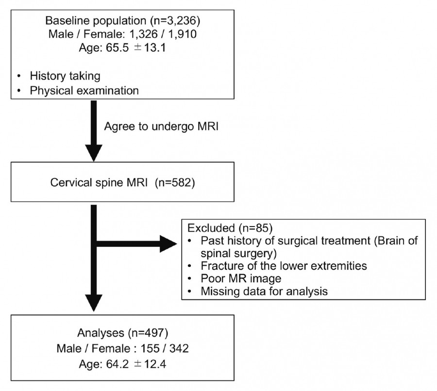 Flow chart illustrating the selection process of participants for a cervical spine MRI study, detailing exclusions and demographics.