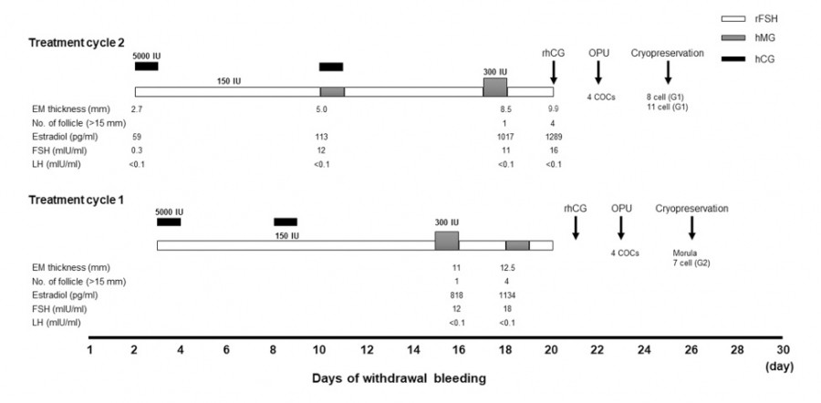 Graph illustrating treatment cycles with data on EM thickness and withdrawal bleeding days.