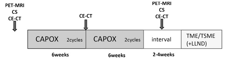 A schematic diagram illustrating the study protocol for neoadjuvant chemotherapy in rectal cancer treatment.