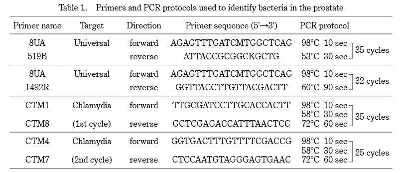 Table displaying primers and PCR protocols for identifying bacteria in the prostate.