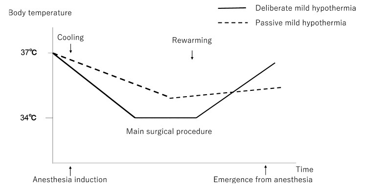 Graph illustrating body temperature changes during surgical procedures, highlighting deliberate and passive mild hypothermia phases.