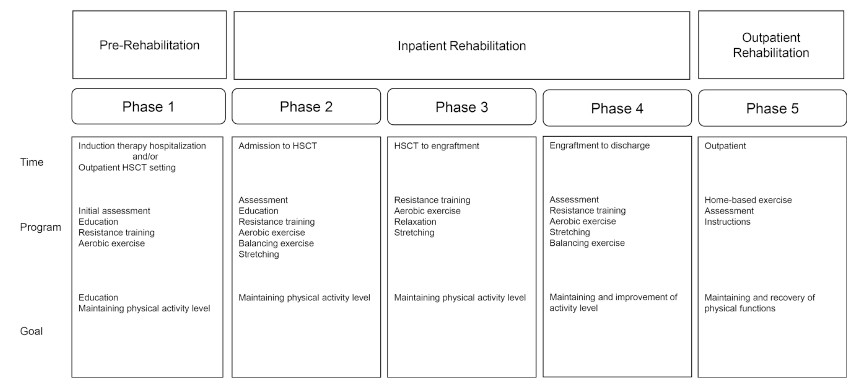 Rehabilitation program phases chart outlining pre-rehabilitation, inpatient, and outpatient stages with goals and assessments.