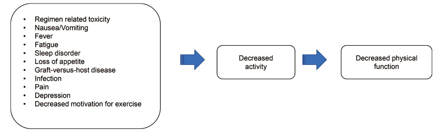 Flowchart illustrating factors leading to decreased physical function, including regimen-related toxicity and associated symptoms.