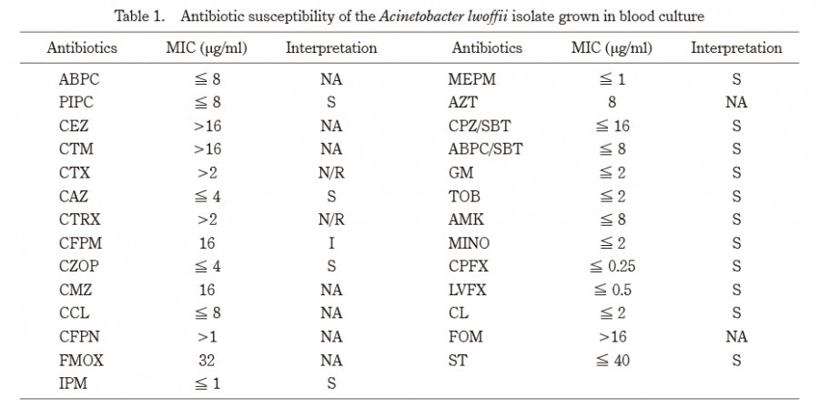 Table displaying antibiotic susceptibility results for Acinetobacter lwoffii isolate in blood culture.