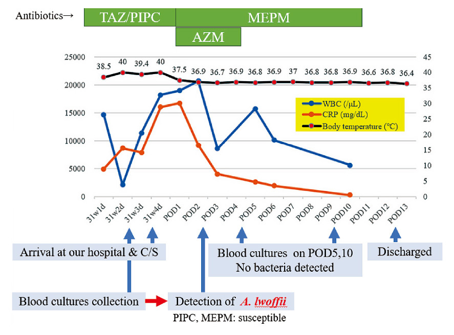 Graph showing patient data over time, including WBC, CRP levels, body temperature, and antibiotic treatment outcomes.